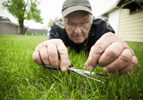 A man in the grass with scissors